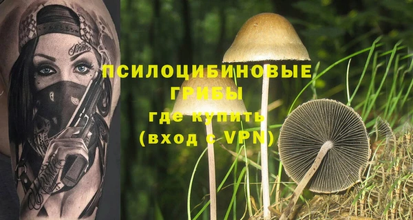 шишки Богородск