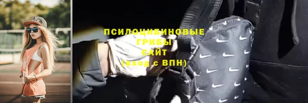 шишки Богородск