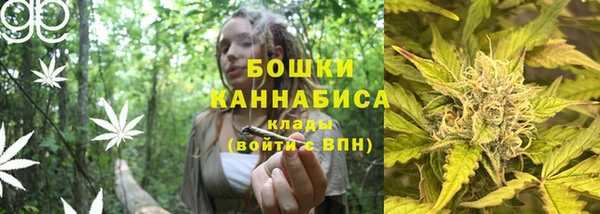 СК Богородицк