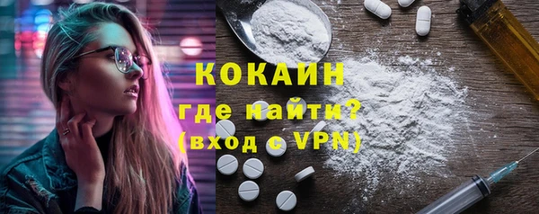 шишки Богородск