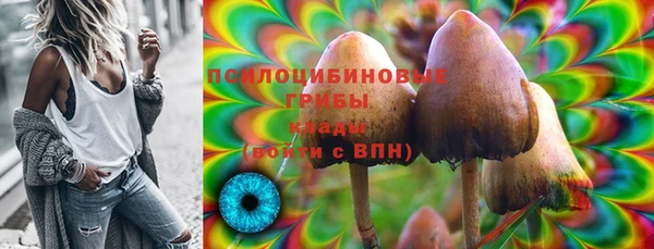 дживик Богданович
