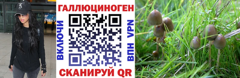 Псилоцибиновые грибы Psilocybine cubensis  Купить закладки  Нелидово 